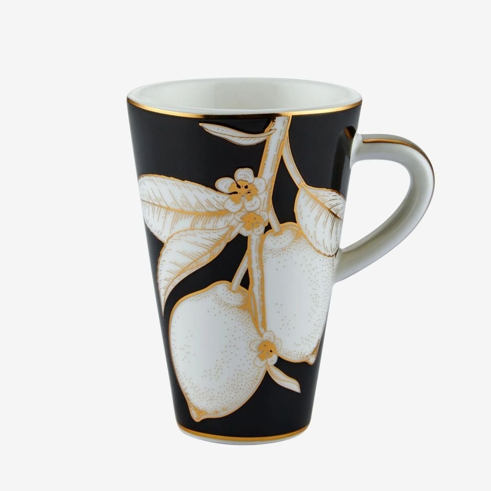 Siyah Porselen Kahve Fincan Seti 100 Ml Ravello Collection by Chiara Alessi