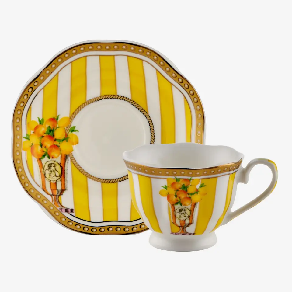 Lisa Minotti Sarı Porselen Kahve Fincan Seti 100 Ml